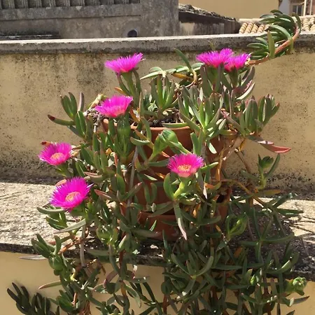 At First Sight דירה